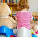 Tips for Potty Training Success